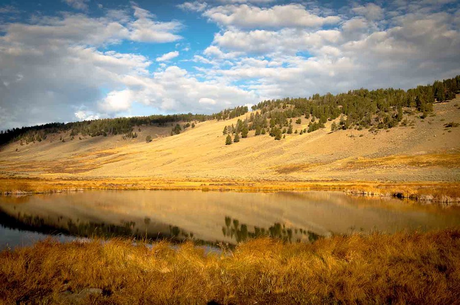 reflective pond (1 of 1)