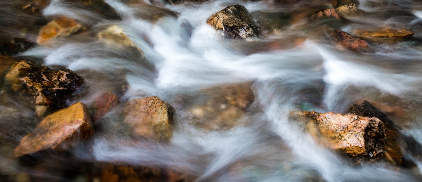 Travis_Rattlesnake_Softcreek